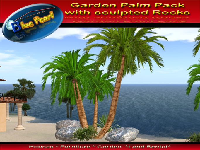 Wonderful Palms with sculpted Rocks!!!