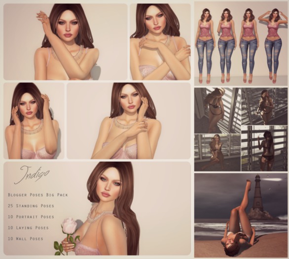 [InDiGo] Female Pose Collection Packed
