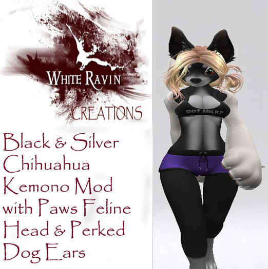 White Ravin Creations - Black Silver Chihuahua Kemono