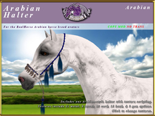 *E* Arabian Halter [BOXED] RH Arabian