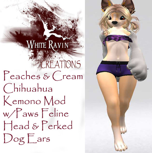 White Ravin Creations - PeachesCream v2 Chihuahua Kemono