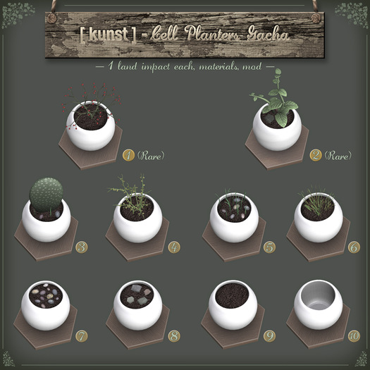 .08 [ kunst ] - Cell Planter #8