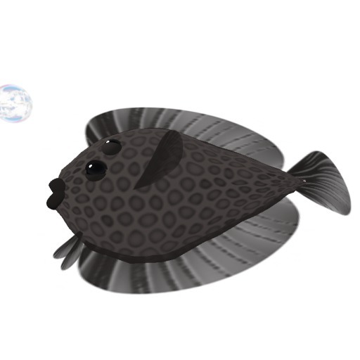 (7S) Common Fish: Green Flounder