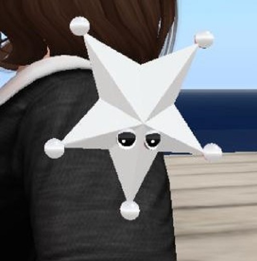 (7S Unique) Common Stuff: Deputy Star Fish