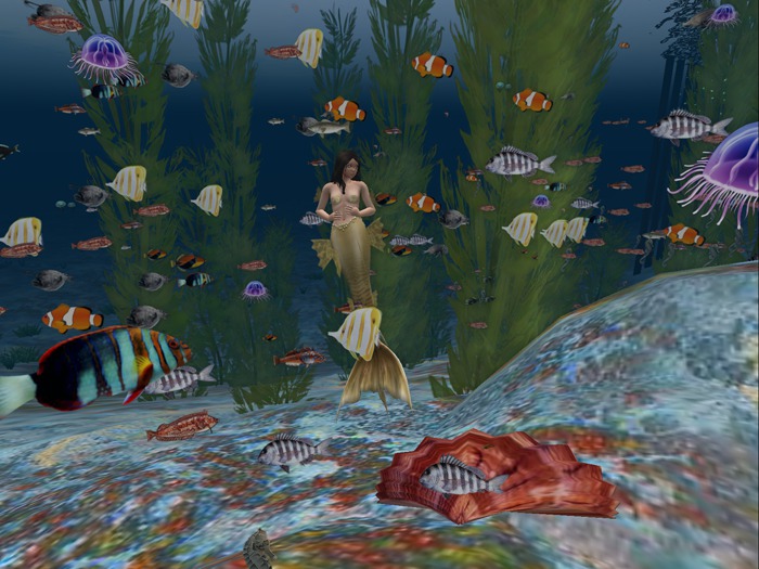 Clam Shell 17 Species Fish Particle Rezzer Poofer
