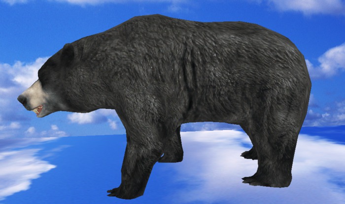 Black Bear - Mesh