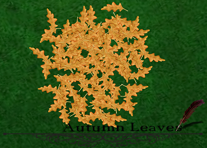 Autumn Leaves - (modify and trasfert) 2