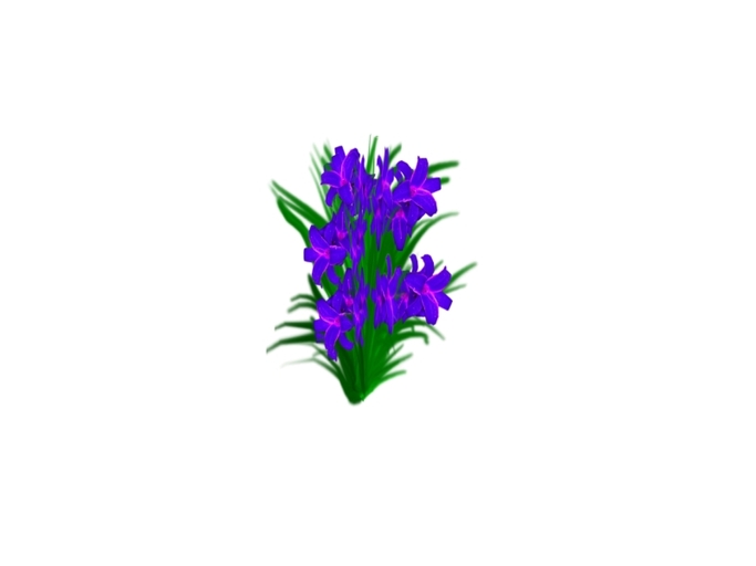 Princess Celtic's  Flower  A-copy
