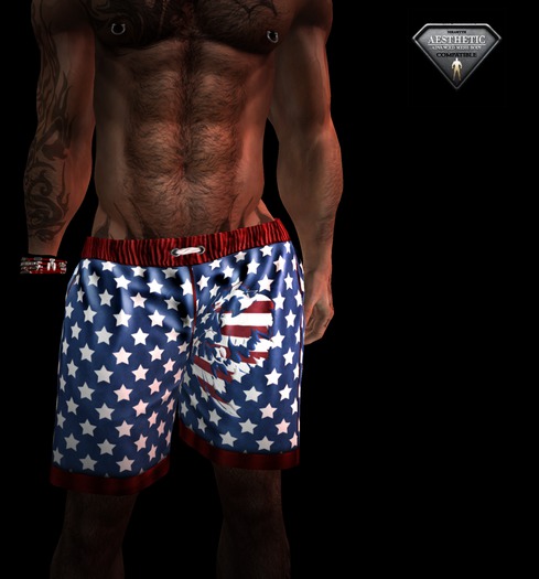 HOTLINE SPORT SHORTS STARS STRIPES USA