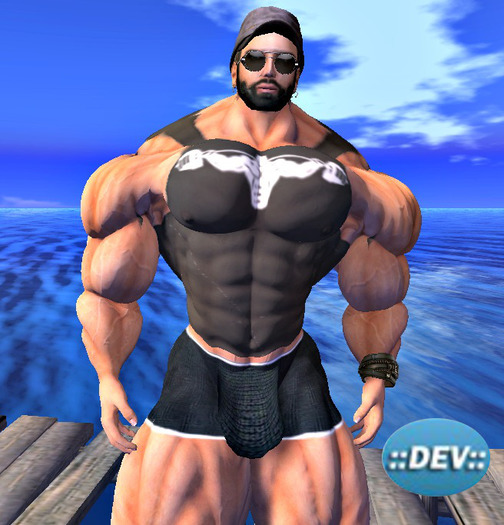 [D.Cavalieri] - Tank Black Weights for DEV Avatar