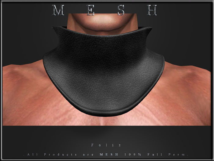 [Feliz] Collar 03 - Regular MESH FULL PERM