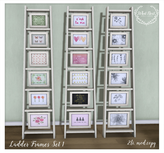 {what next} Ladder Frames Set 1 