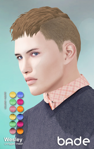 [bade] Wesley COLORS