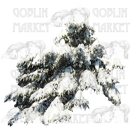 : Commercial: Winter Firs