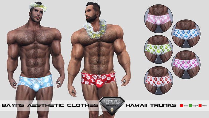 [BAYNS] Hawaii Boxer