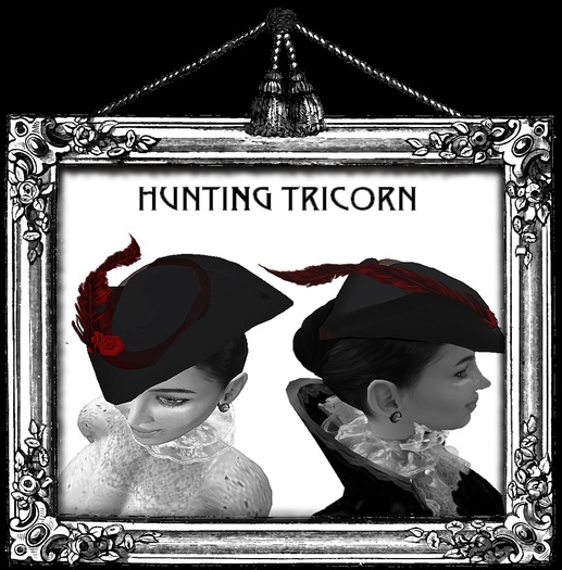Hunting Tricorn