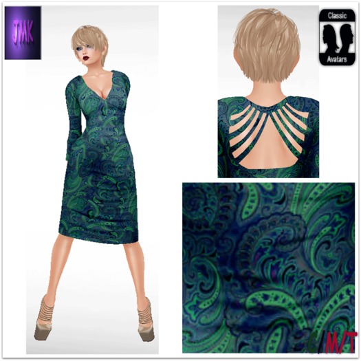 ~JMK~Paisley Dress 17 Standard Avi bag