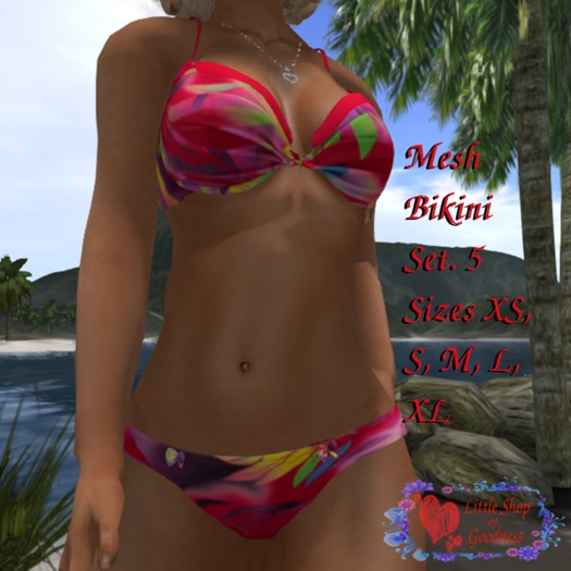Colorful Bikini Set Mesh