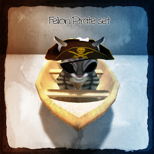 Felion Pirate set