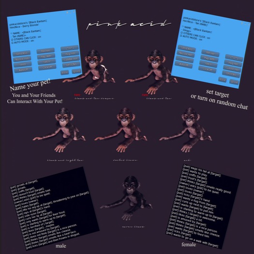 *Pink Acid Baby Chimp Ash Male