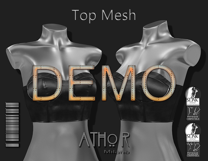 *Milano* - Top Mesh_Slink Physique -DEMO
