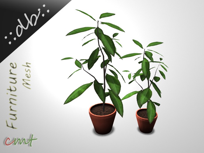 ::db:: Ornamental Green Trees in Terracotta Pot
