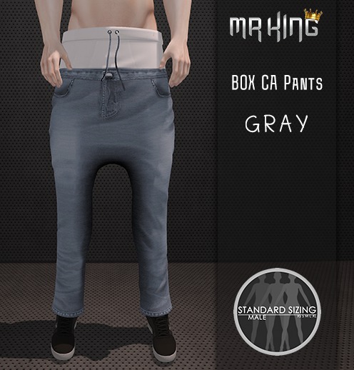 [MR] Pants Box ca gray