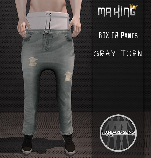 [MR]Pants Box ca gray torn