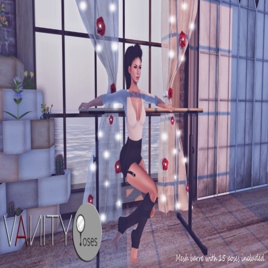 Vanity Poses - LSM Barre [Boxed]