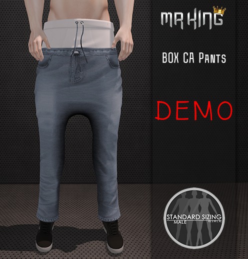 [MR]Pants Box ca Gray DEMO