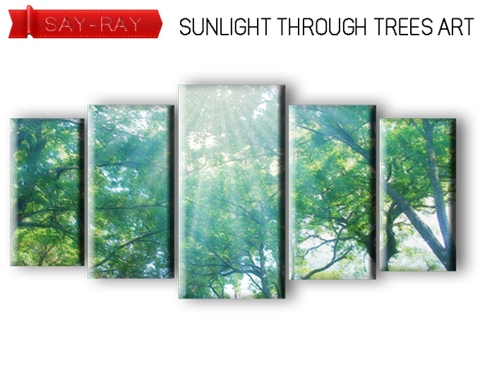Sunlight through trees ART