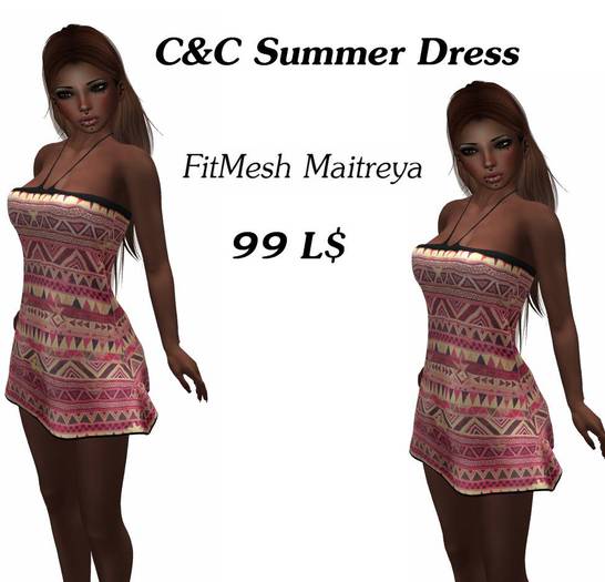 C&C Summer Dress