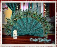 {DD} Lace Peacock Feather Wall Fan Simple Teal 2LI