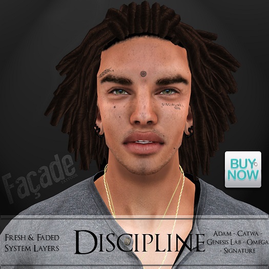 .Facade. :: Discipline