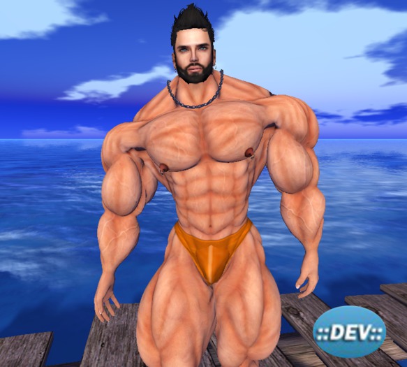 [D.Cavalieri] - Swimwear Orange for DEV Avatar