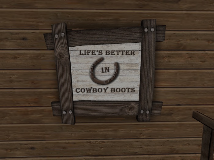 >VAL< Picture Cowboy Boots