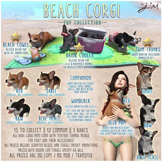 JIAN Beach Corgis BOX :: Swim Trunks RARE