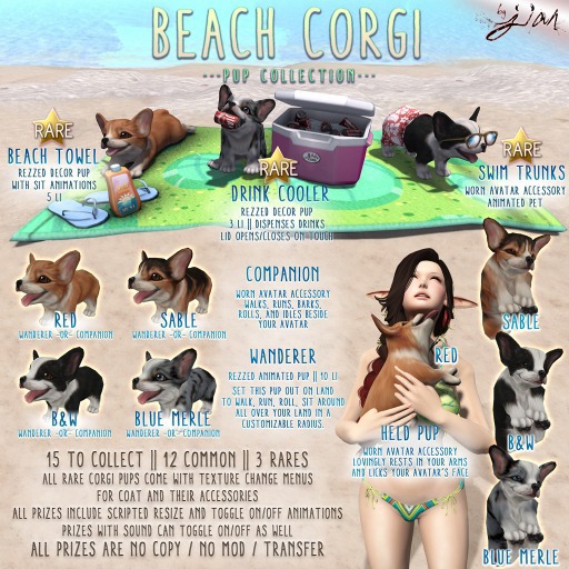JIAN Beach Corgis BOX :: Swim Trunks RARE
