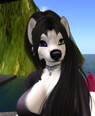 *CT* KZK Husky Mesh Hair Fix