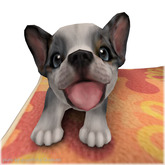JIAN Beach Corgis BOX :: Beach Towel RARE