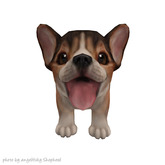 JIAN Beach Corgis BOX :: Wander Pup Sable