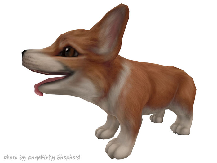 JIAN Beach Corgis BOX :: Wander Pup Red