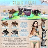 JIAN Beach Corgis BOX :: Held Pup Red