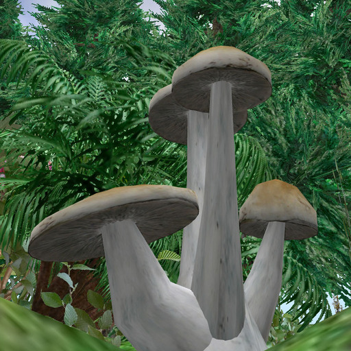 Four Mushrooms In One Sculpted Prim - Puerto Rican Psilocybe Cubensis