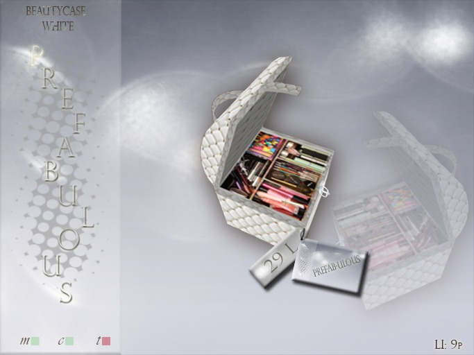 2014 ::~PREFAB-ULOUS~:: BOXED Beautycase (White) LI-9