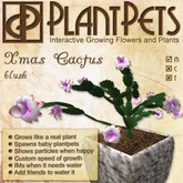 PlantPet Seed [Xmas Cactus *Blush*]