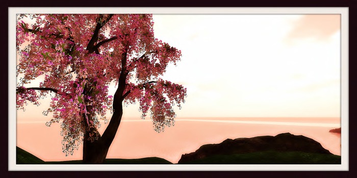 Pink eastern
