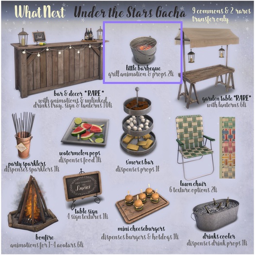 {what next} Little Barbeque (boxed)