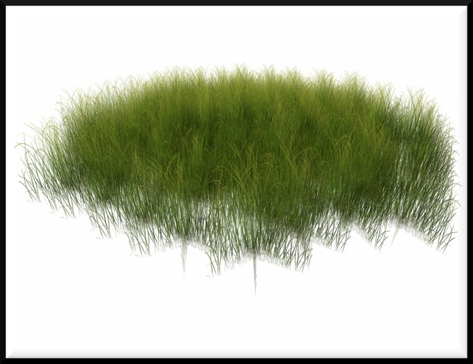 * Grass Mesh - 2 prims [full perm] *