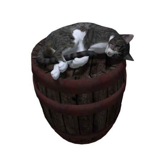 *..NL..* cat on barrel